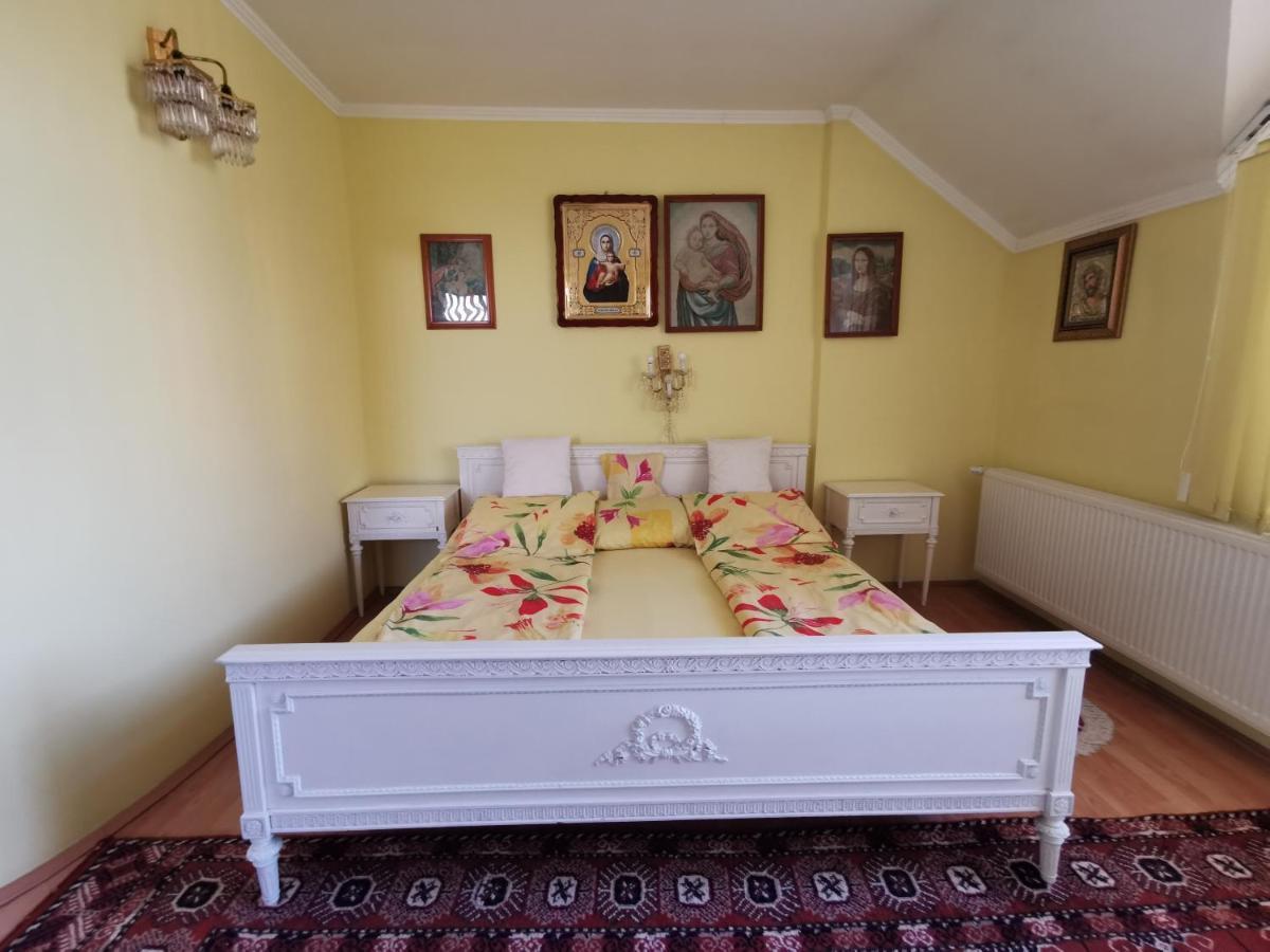 Hotel Vila Angela Felix à Sînmartin Extérieur photo