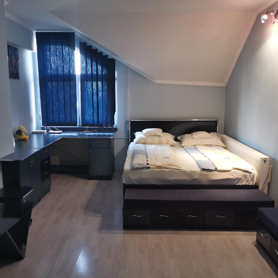 Hotel Vila Angela Felix à Sînmartin Extérieur photo
