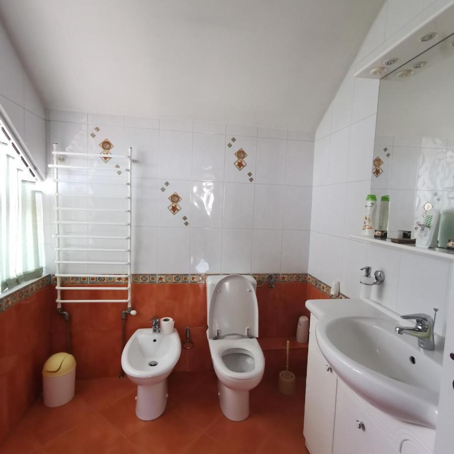Hotel Vila Angela Felix à Sînmartin Extérieur photo
