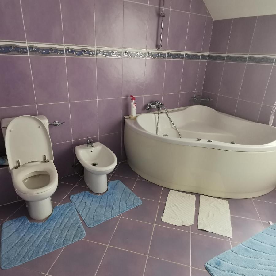 Hotel Vila Angela Felix à Sînmartin Extérieur photo